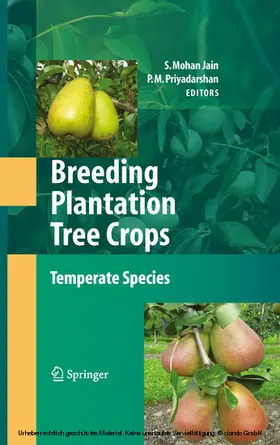 Jain / Priyadarshan |  Breeding Plantation Tree Crops: Temperate Species | eBook | Sack Fachmedien