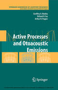 Manley / Fay / Popper |  Active Processes and Otoacoustic Emissions in Hearing | eBook | Sack Fachmedien