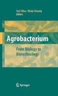 Tzfira / Citovsky |  Agrobacterium: From Biology to Biotechnology | eBook | Sack Fachmedien