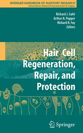 Fay / Salvi |  Hair Cell Regeneration, Repair, and Protection | Buch |  Sack Fachmedien