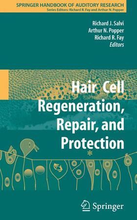 Fay / Salvi | Hair Cell Regeneration, Repair, and Protection | Buch | 978-0-387-73363-0 | sack.de