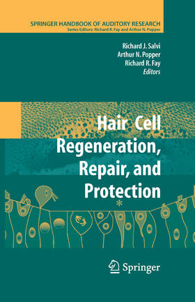Salvi / Fay | Hair Cell Regeneration, Repair, and Protection | E-Book | sack.de