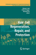 Salvi / Fay |  Hair Cell Regeneration, Repair, and Protection | eBook | Sack Fachmedien