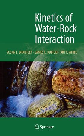 Brantley / Kubicki / White | Kinetics of Water-Rock Interaction | Buch | 978-0-387-73562-7 | sack.de