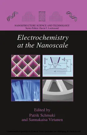 Schmuki / Virtanen | Electrochemistry at the Nanoscale | E-Book | www.sack.de