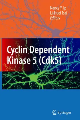 Ip / Tsai | Cyclin Dependent Kinase 5 (Cdk5) | Buch | 978-0-387-78886-9 | www.sack.de