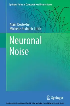 Destexhe / Rudolph-Lilith | Neuronal Noise | E-Book | sack.de