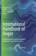 Potegal / Stemmler / Spielberger |  International Handbook of Anger | Buch |  Sack Fachmedien