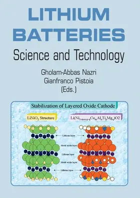 Nazri / Pistoia |  Lithium Batteries | Buch |  Sack Fachmedien