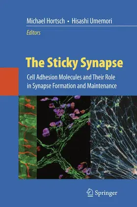 Umemori / Hortsch | The Sticky Synapse | Buch | 978-0-387-92707-7 | www.sack.de