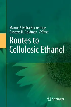 Buckeridge / Goldman | Routes to Cellulosic Ethanol | Buch | 978-0-387-92739-8 | www.sack.de