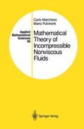 Marchioro / Pulvirenti |  Mathematical Theory of Incompressible Nonviscous Fluids | Buch |  Sack Fachmedien