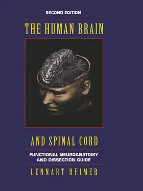 Heimer |  The Human Brain and Spinal Cord | Buch |  Sack Fachmedien