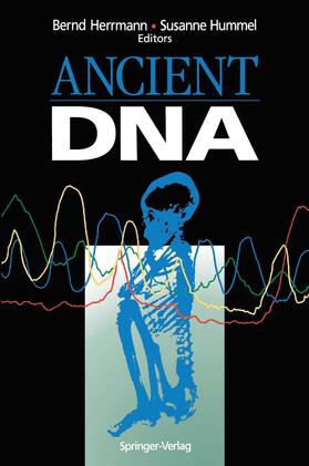 Hummel / Herrmann | Ancient DNA | Buch | 978-0-387-94308-4 | sack.de
