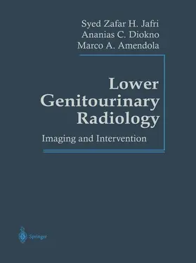 Jafri / Diokno / Amendola |  Lower Genitourinary Radiology | Buch |  Sack Fachmedien