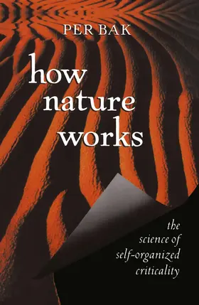 Bak |  How Nature Works | Buch |  Sack Fachmedien