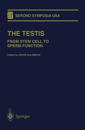 Goldberg | The Testis | Buch | 978-0-387-95024-2 | sack.de
