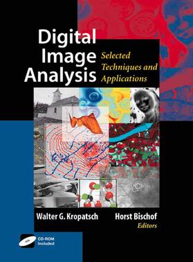 Kropatsch / Bischof | DIGITAL IMAGE ANALYSIS 2001/E | Buch | 978-0-387-95066-2 | sack.de