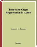 Yannas |  Tissue and Organ Regeneration in Adults | Buch |  Sack Fachmedien