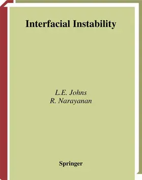 Johns / Narayanan | Interfacial Instability | Buch | 978-0-387-95480-6 | sack.de