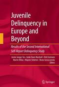Junger-Tas / Marshall / Gruszczynska |  Juvenile Delinquency in Europe and Beyond | Buch |  Sack Fachmedien