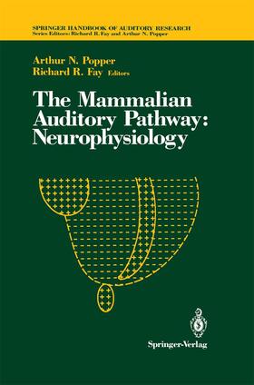 Fay | The Mammalian Auditory Pathway: Neurophysiology | Buch | 978-0-387-97801-7 | sack.de