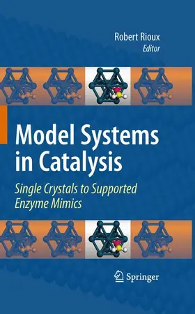 Rioux |  Model Systems in Catalysis | Buch |  Sack Fachmedien
