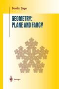 Singer |  Geometry: Plane and Fancy | Buch |  Sack Fachmedien