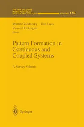 Golubitsky / Luss / Strogatz |  Pattern Formation in Continuous and Coupled Systems | Buch |  Sack Fachmedien