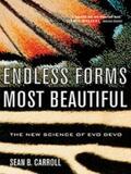Carroll |  Endless Forms Most Beautiful: The New Science of Evo Devo | eBook | Sack Fachmedien