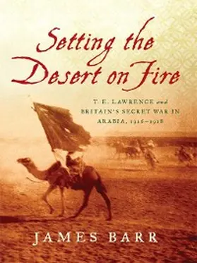 Barr |  Setting the Desert on Fire | eBook | Sack Fachmedien