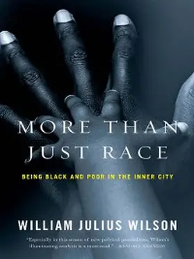 Wilson |  More than Just Race | eBook | Sack Fachmedien
