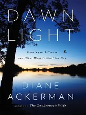 Ackerman |  Dawn Light | eBook | Sack Fachmedien