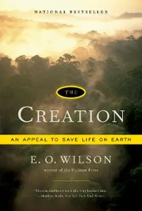 Wilson |  The Creation | eBook | Sack Fachmedien