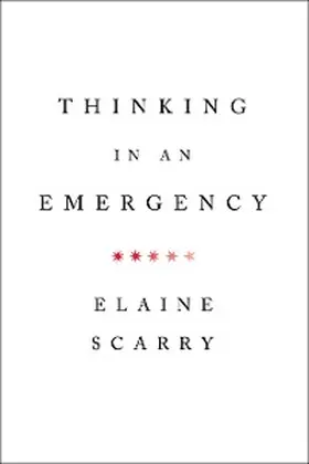 Scarry |  Thinking in an Emergency | eBook | Sack Fachmedien
