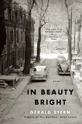 Stern |  In Beauty Bright | eBook | Sack Fachmedien