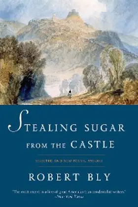 Bly |  Stealing Sugar from the Castle | eBook | Sack Fachmedien