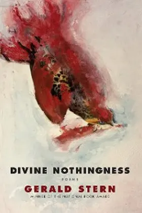Stern |  Divine Nothingness | eBook | Sack Fachmedien