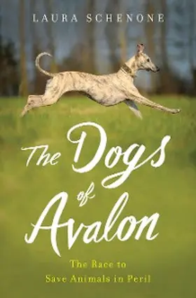 Schenone |  The Dogs of Avalon | eBook | Sack Fachmedien