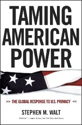 Walt |  Taming American Power | eBook | Sack Fachmedien