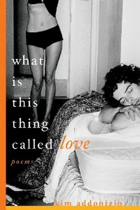 Addonizio |  What Is This Thing Called Love | eBook | Sack Fachmedien