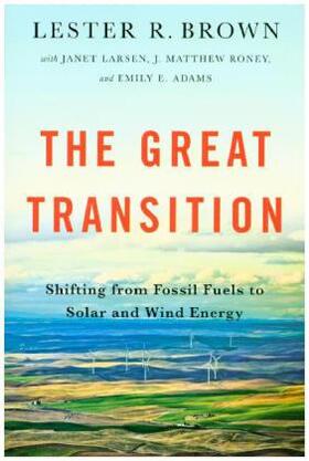 Brown |  Great Transition | Buch |  Sack Fachmedien