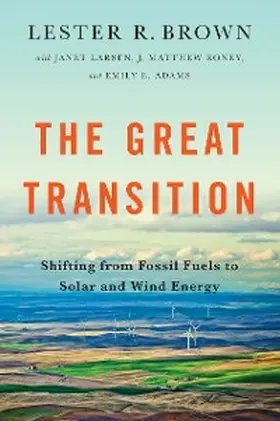 Brown |  The Great Transition | eBook | Sack Fachmedien