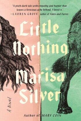 Silver |  Little Nothing | Buch |  Sack Fachmedien