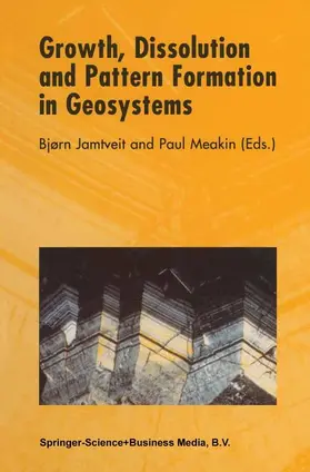 Jamtveit / Meakin |  Growth, Dissolution and Pattern Formation in Geosystems | Buch |  Sack Fachmedien