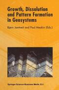 Jamtveit / Meakin |  Growth, Dissolution and Pattern Formation in Geosystems | Buch |  Sack Fachmedien