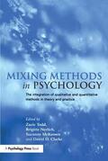 Todd / Nerlich / McKeown |  Mixing Methods in Psychology | Buch |  Sack Fachmedien
