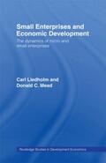 Liedholm / Mead |  Small Enterprises and Economic Development | Buch |  Sack Fachmedien