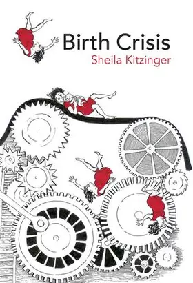 Kitzinger |  Birth Crisis | Buch |  Sack Fachmedien