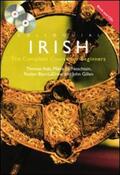Ihde / Neachtain / Blyn-LaDrew |  Colloquial Irish | Buch |  Sack Fachmedien